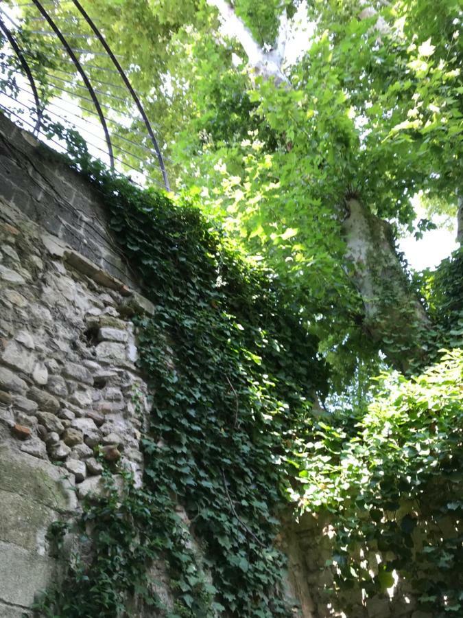 Appartement T2 Centre Avec Exterieur Avignon